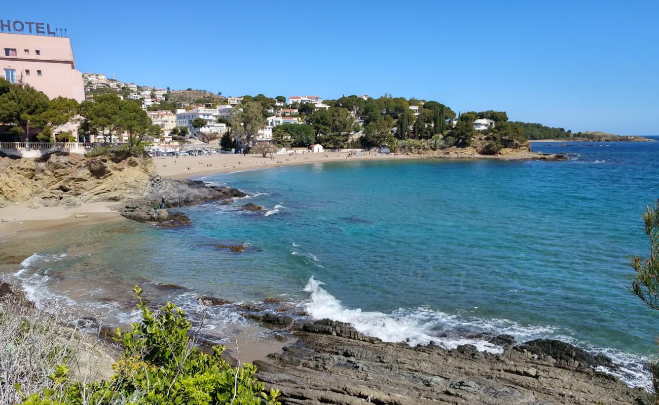 Photo de Platja de Grifeu avec sable brun de surface