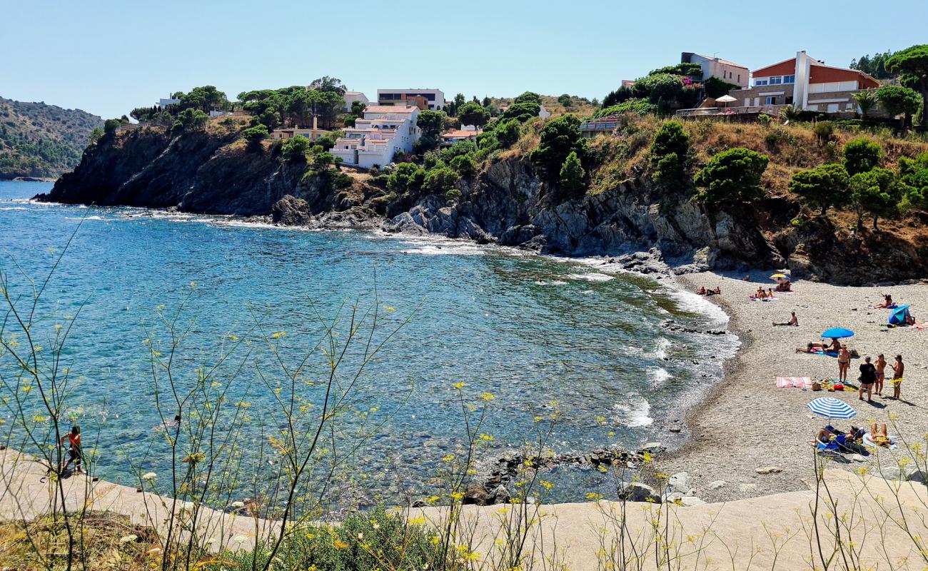 Photo de Platja Rovellada avec galets gris de surface