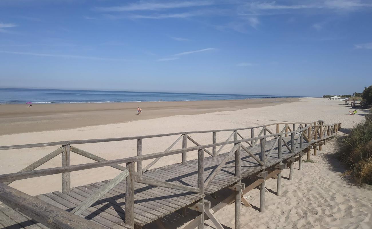 Photo de Plage de la Baleine avec sable lumineux de surface