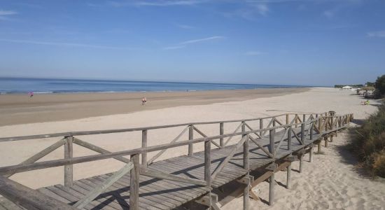 Plage de la Baleine