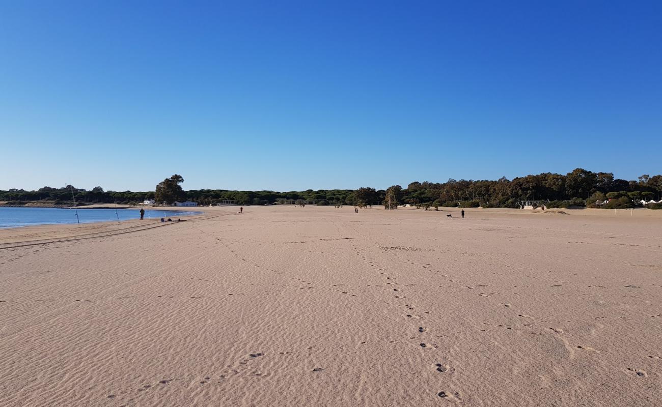 Photo de Playa de la Puntilla avec sable fin et lumineux de surface