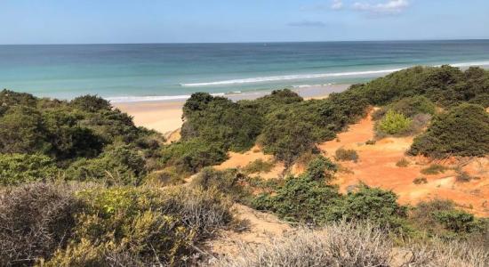 Plage de Puerco