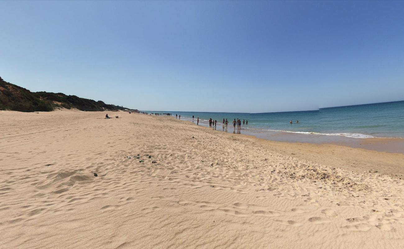 Photo de Plage de Puerco situé dans une zone naturelle