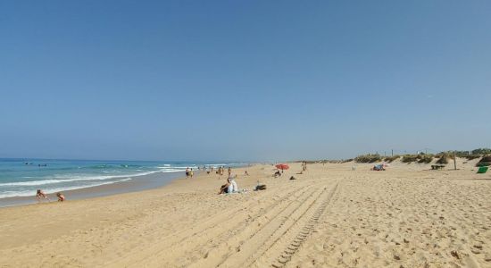 El Palmar Beach