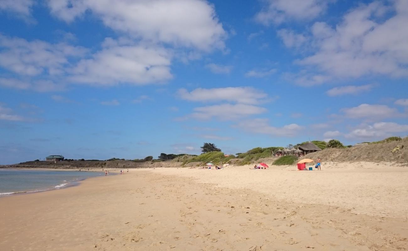 Photo de Plage de Zahora avec sable lumineux de surface