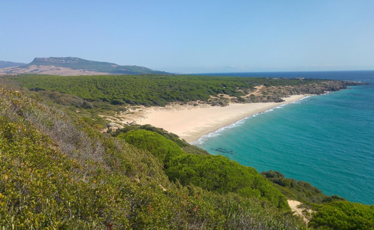 Photo de Plage de Canuelo avec sable fin et lumineux de surface