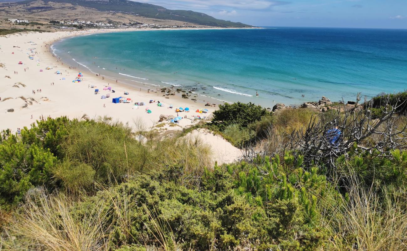 Photo de Plage de Bolonia avec sable fin et lumineux de surface