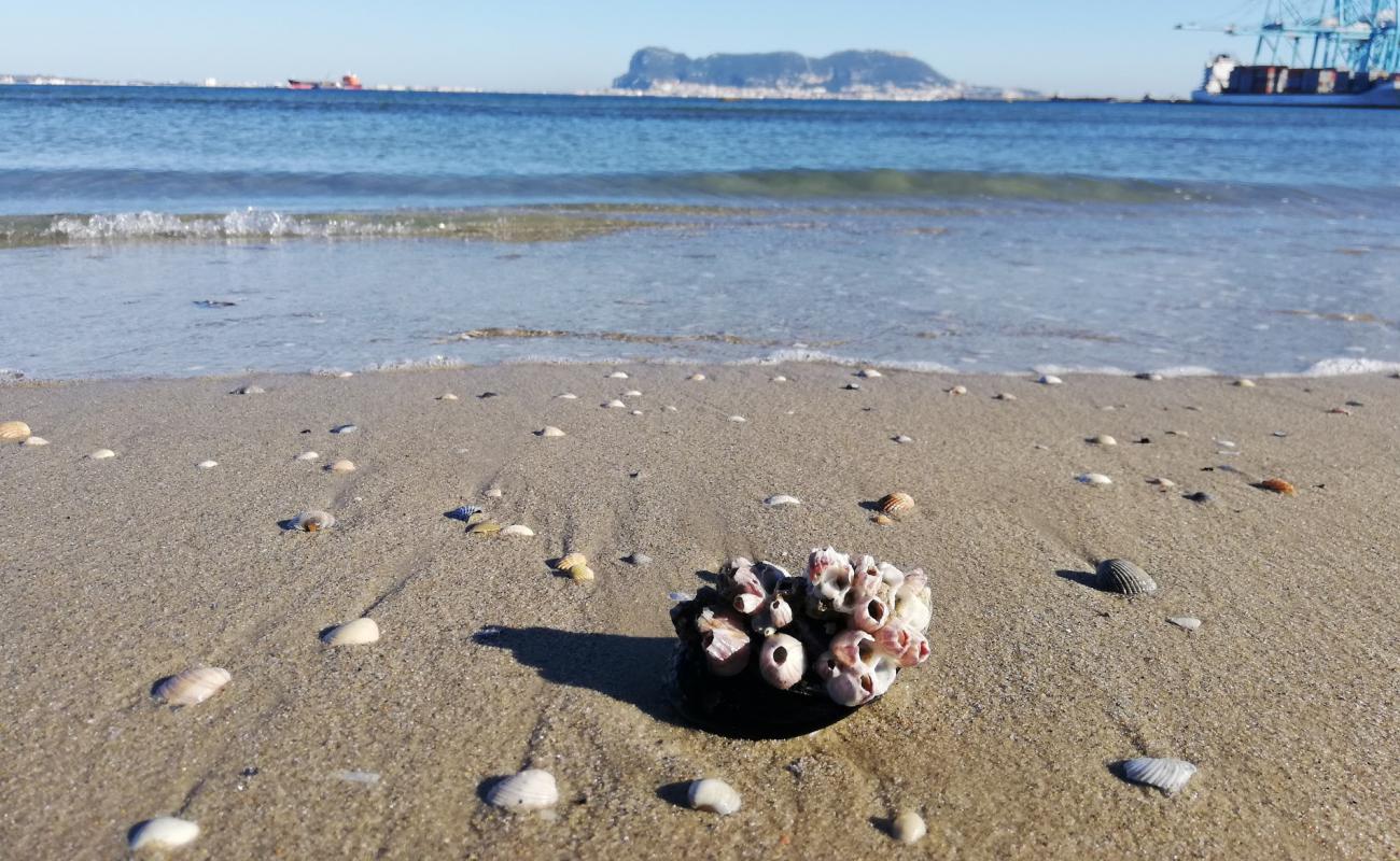 Photo de Playa del Rinconcillo avec sable beige de surface