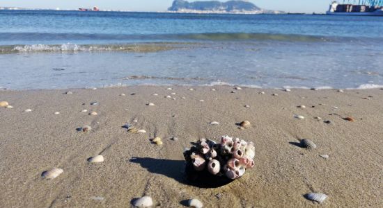 Playa del Rinconcillo