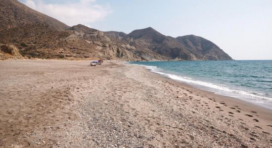 Playa el Algarrobico