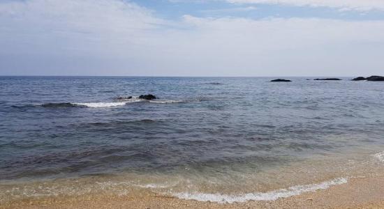 Playa Cala Panizo