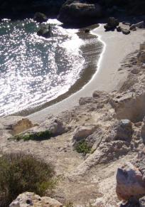 Aguilas
