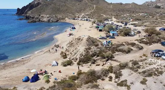 Playa del Arroz