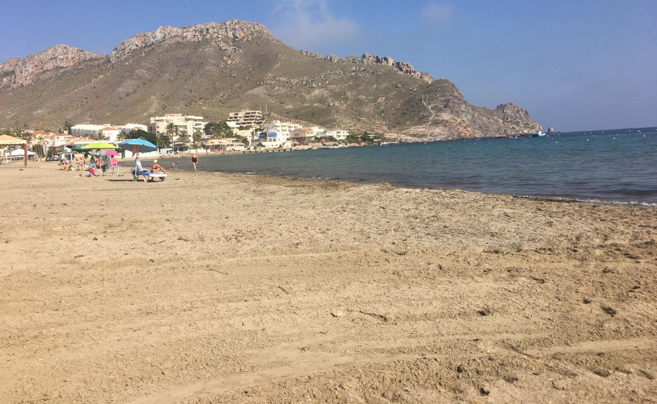 Photo de Playa de Calabardina avec sable gris de surface