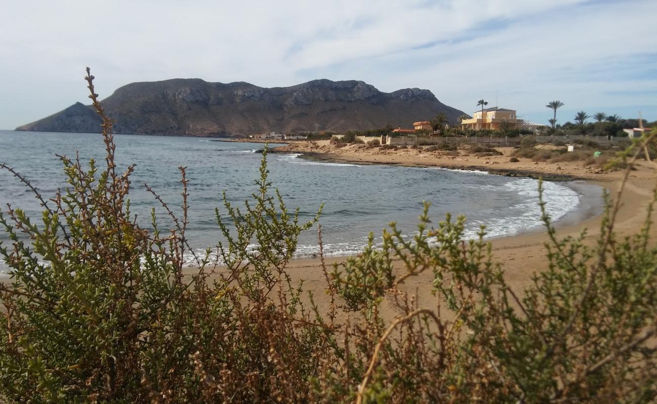 Photo de Playa del Charco avec sable brun de surface