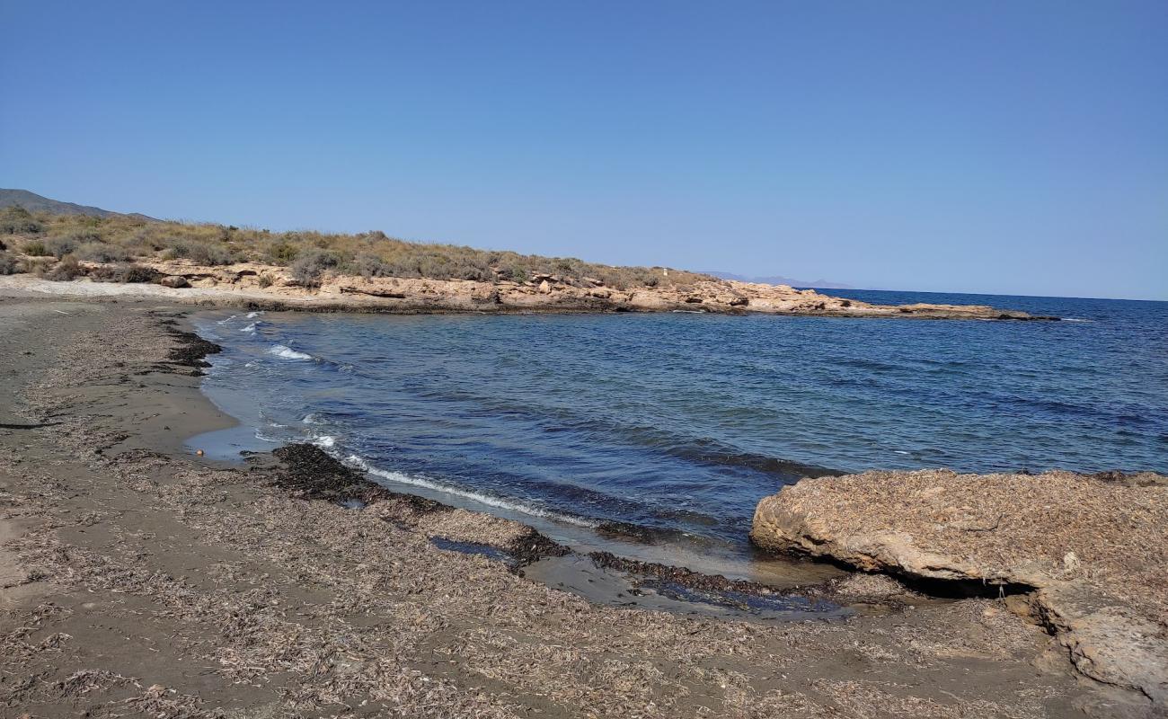 Photo de Playa del Pocico del Animal avec sable gris de surface