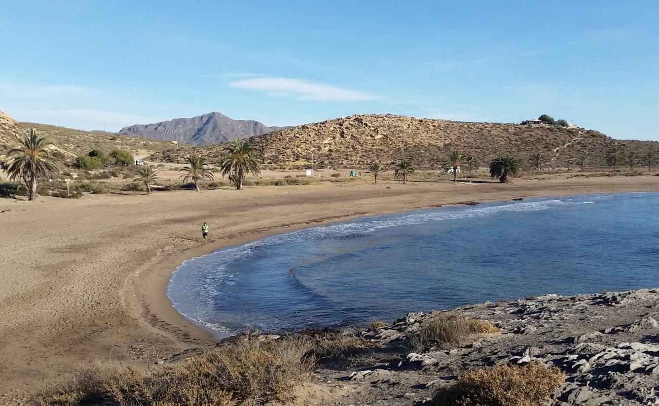 Photo de Plage de Percheles avec sable brun de surface