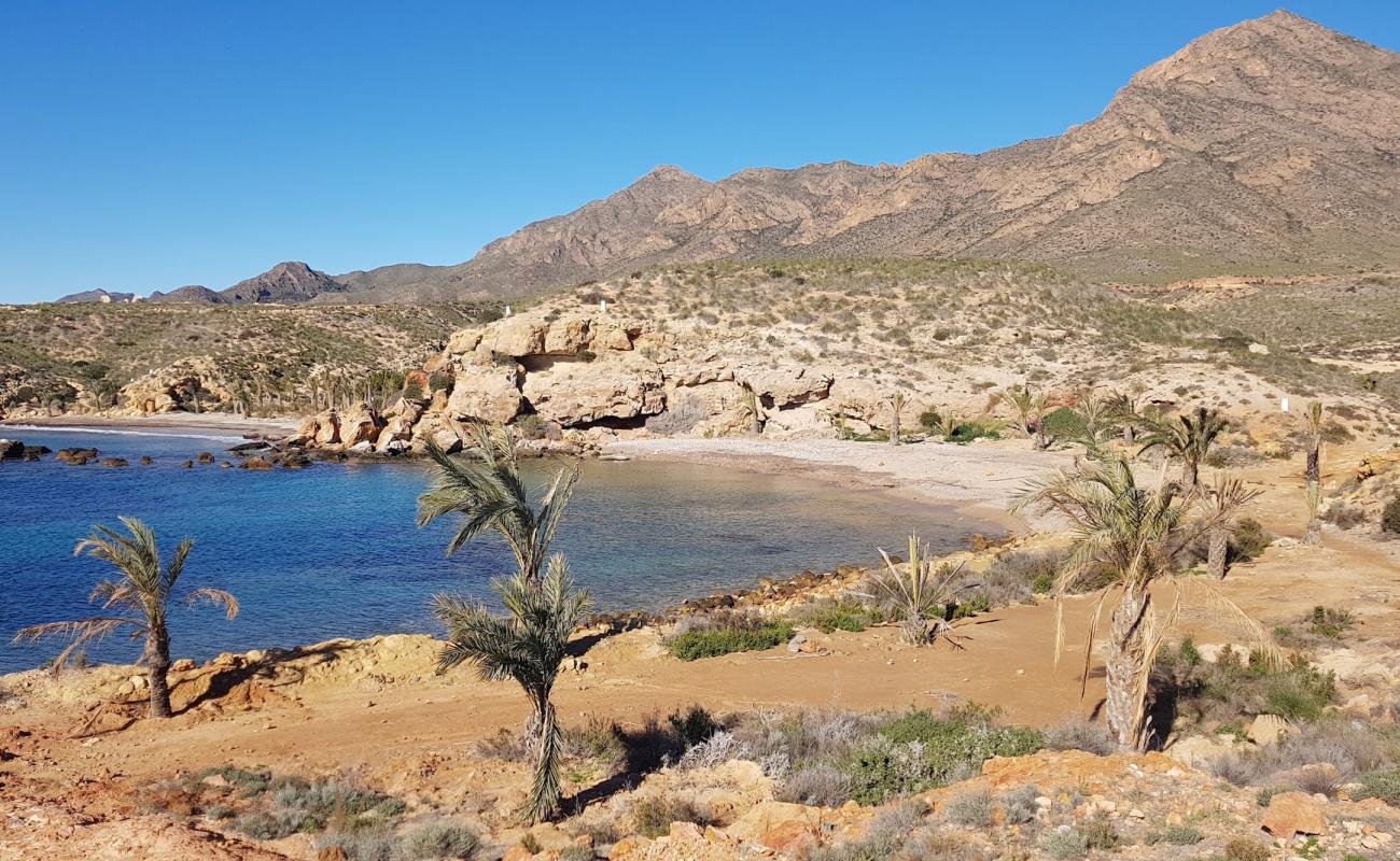 Photo de Playa de La Grua avec sable brun de surface