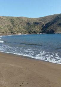 La Union
