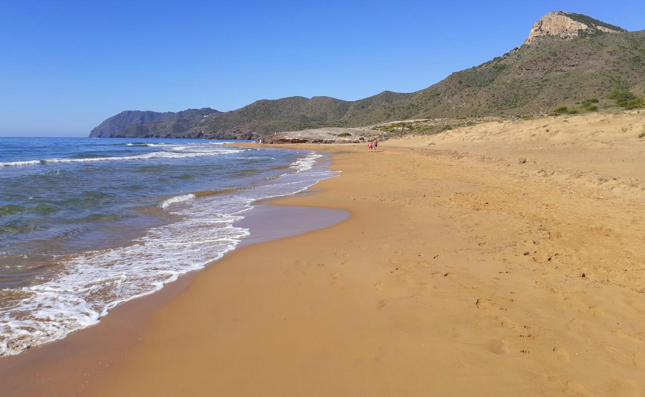 Photo de Playa Larga avec sable brun de surface