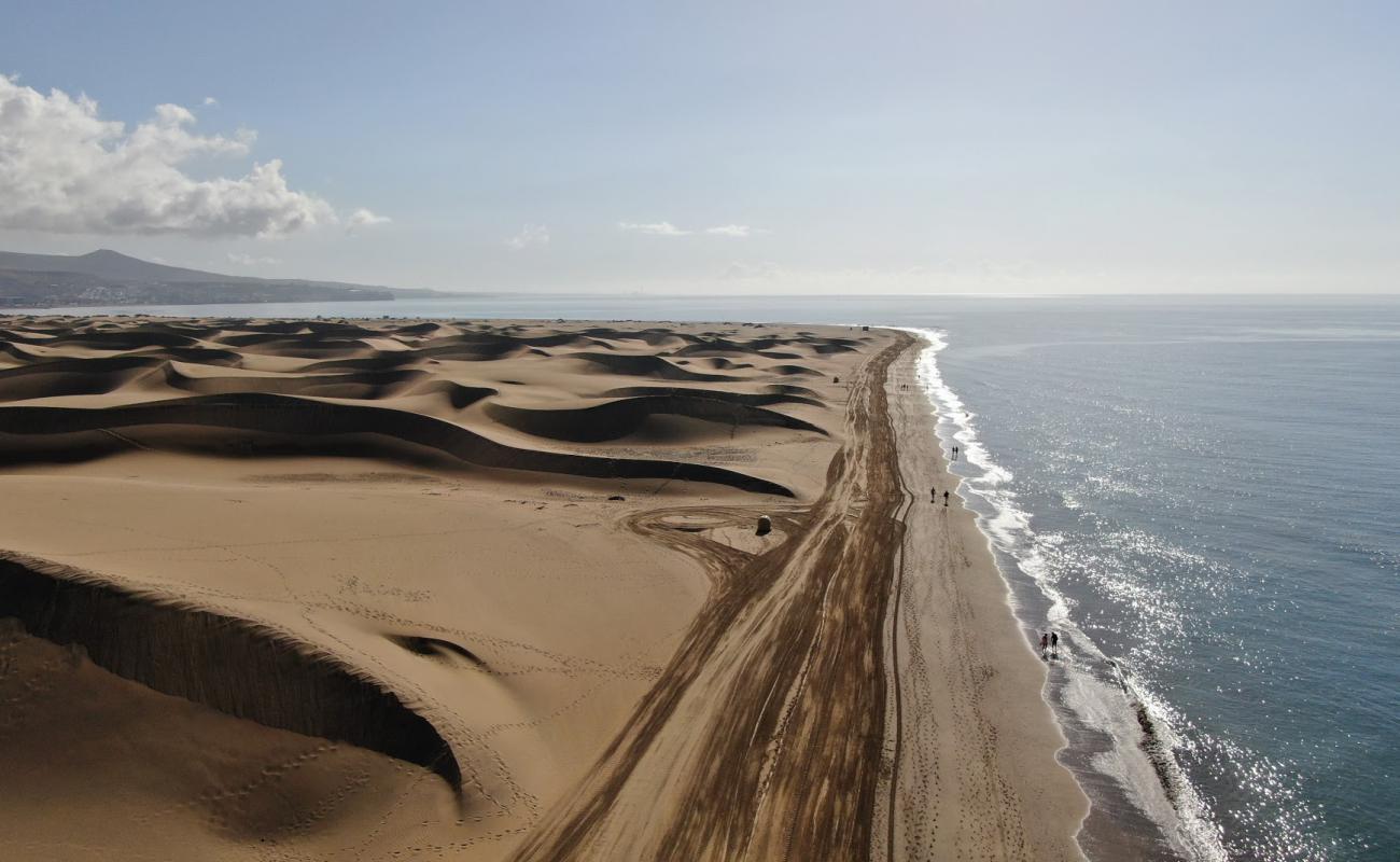 Photo de Maspalomas Wild avec sable beige fin de surface