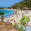 Plage de la Verga (Anfi del Mar)