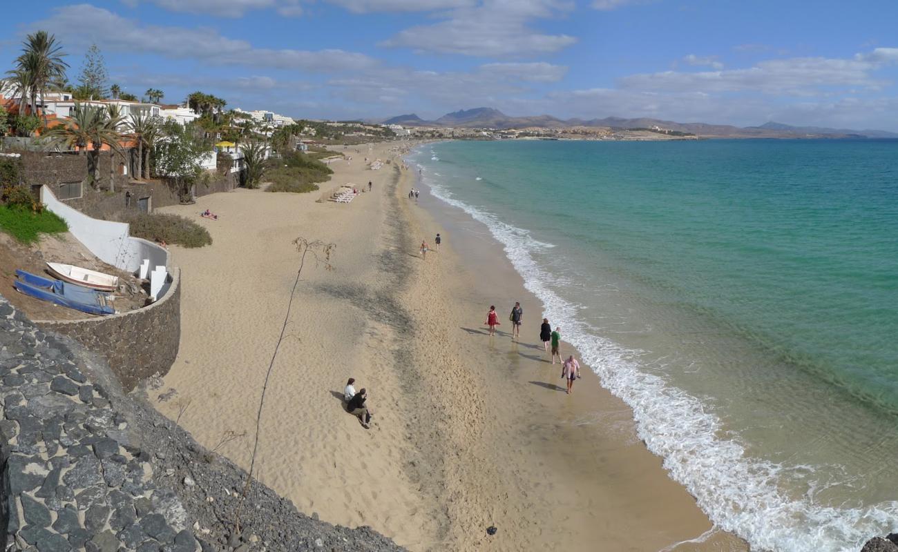 Photo de Plage de Costa Calma avec sable fin et lumineux de surface