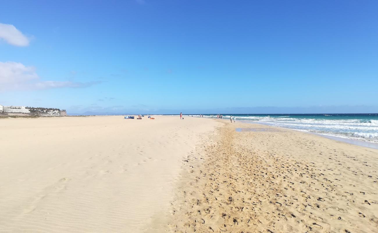 Photo de Plage de Gaviotas avec sable beige fin de surface