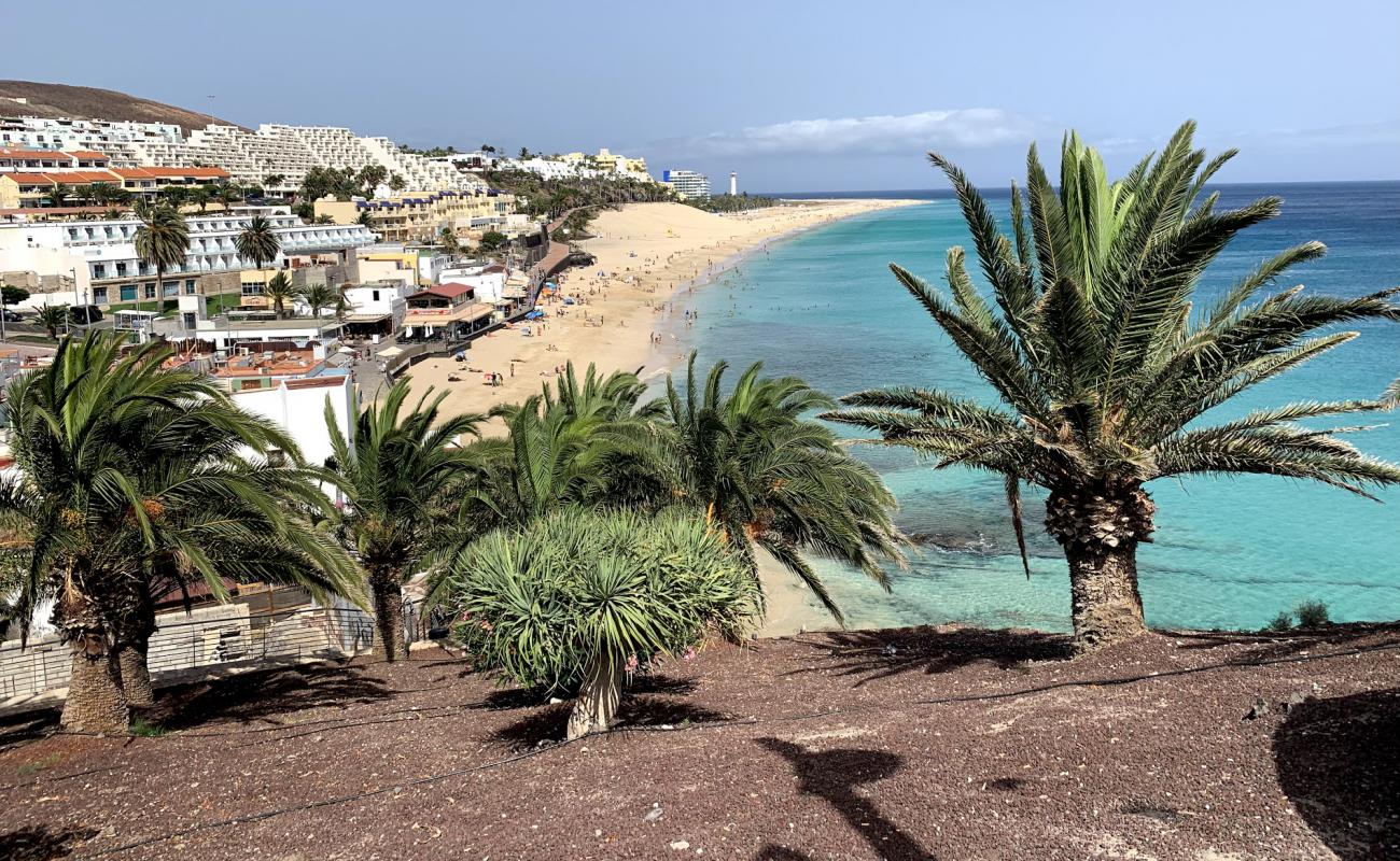 Photo de Playa del Matorral avec sable fin et lumineux de surface