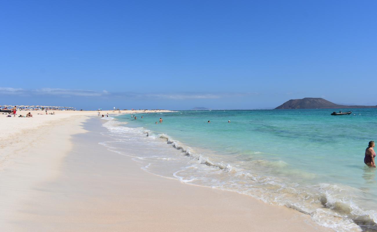 Photo de Playa De Corralejo avec sable fin et lumineux de surface