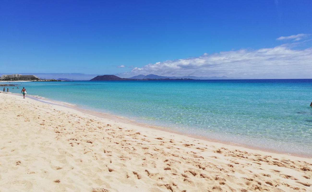 Photo de Playa Larga avec sable beige fin de surface