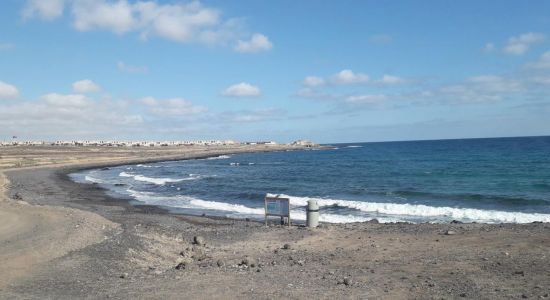 Playa para perros