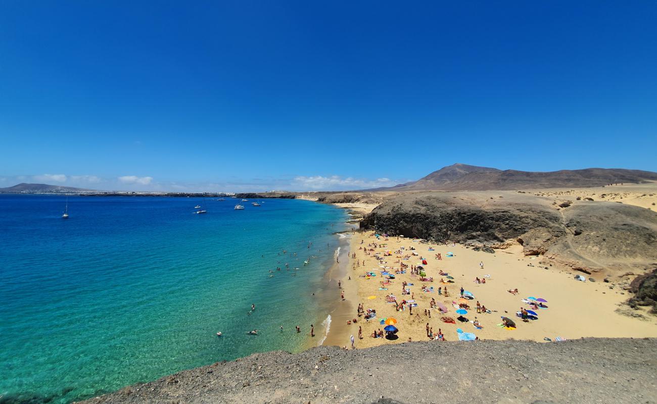 Photo de Playa Caleta del Congrio avec sable fin et lumineux de surface