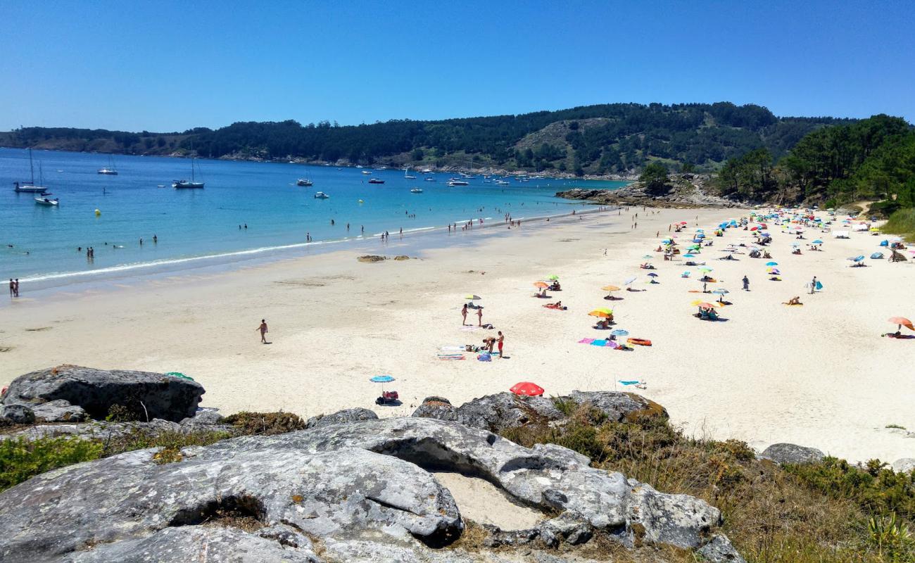 Photo de Playa de Vino avec sable beige fin de surface