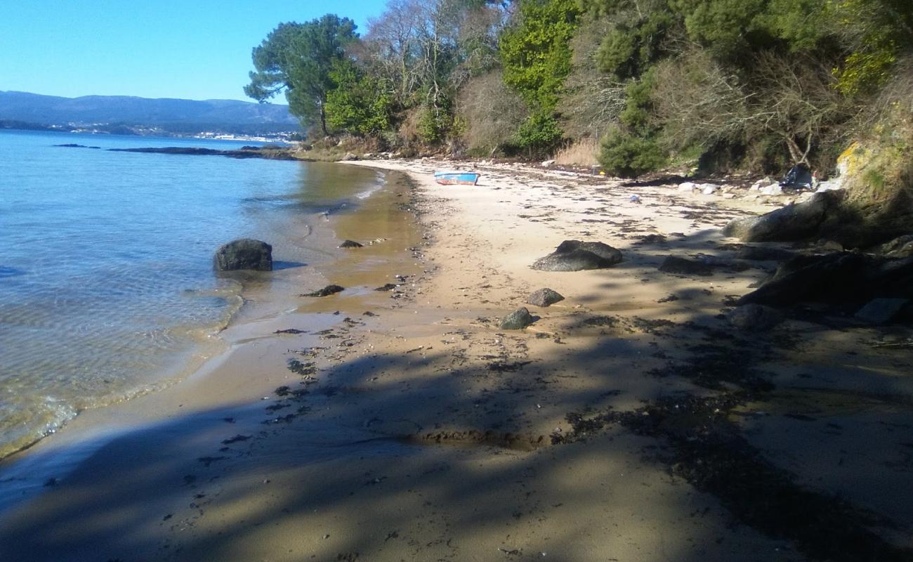 Photo de Trunk beach avec sable beige de surface