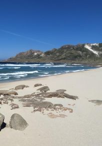 Pescaduira