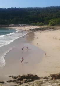Balares