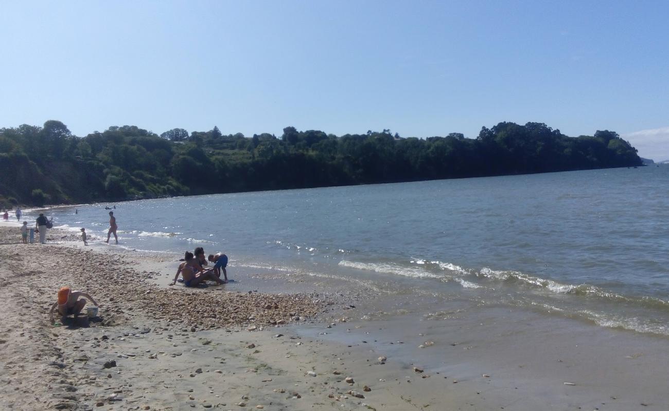 Photo de Praia Regueiro avec sable blanc de surface