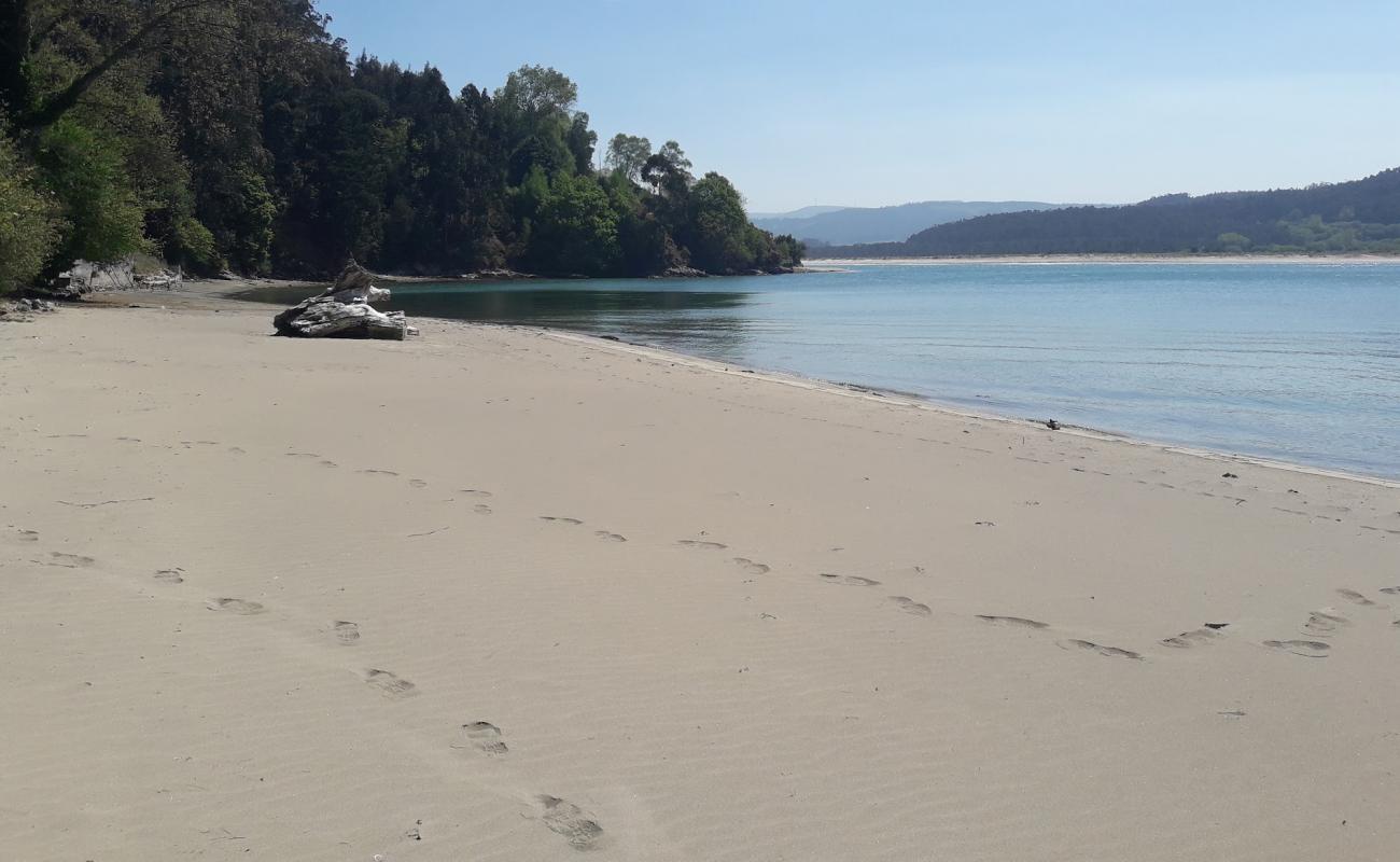 Photo de Playa de Figueiras avec sable beige fin de surface
