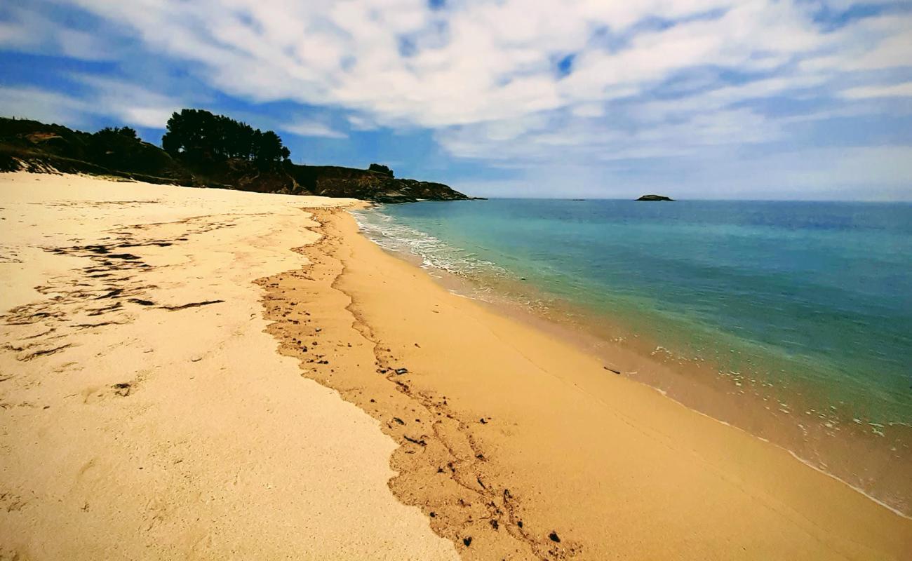 Photo de Praia Ama avec sable lumineux de surface