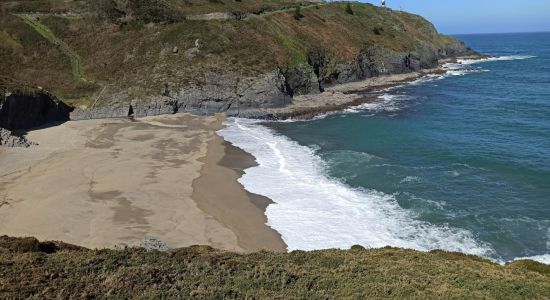 Playa de Arnielles