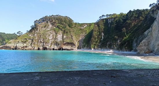 Playa de el Castrillon