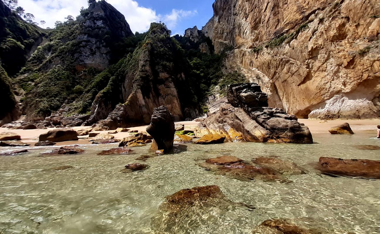 Photo de Playa de la Acacia avec sable beige fin de surface