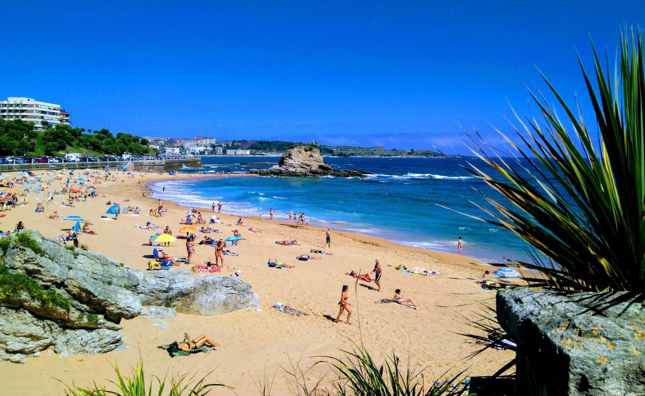 Photo de Playa del Camello avec sable lumineux de surface