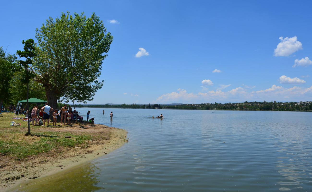 Photo de Zona de bano del embalse de Cazalegas avec herbe de surface