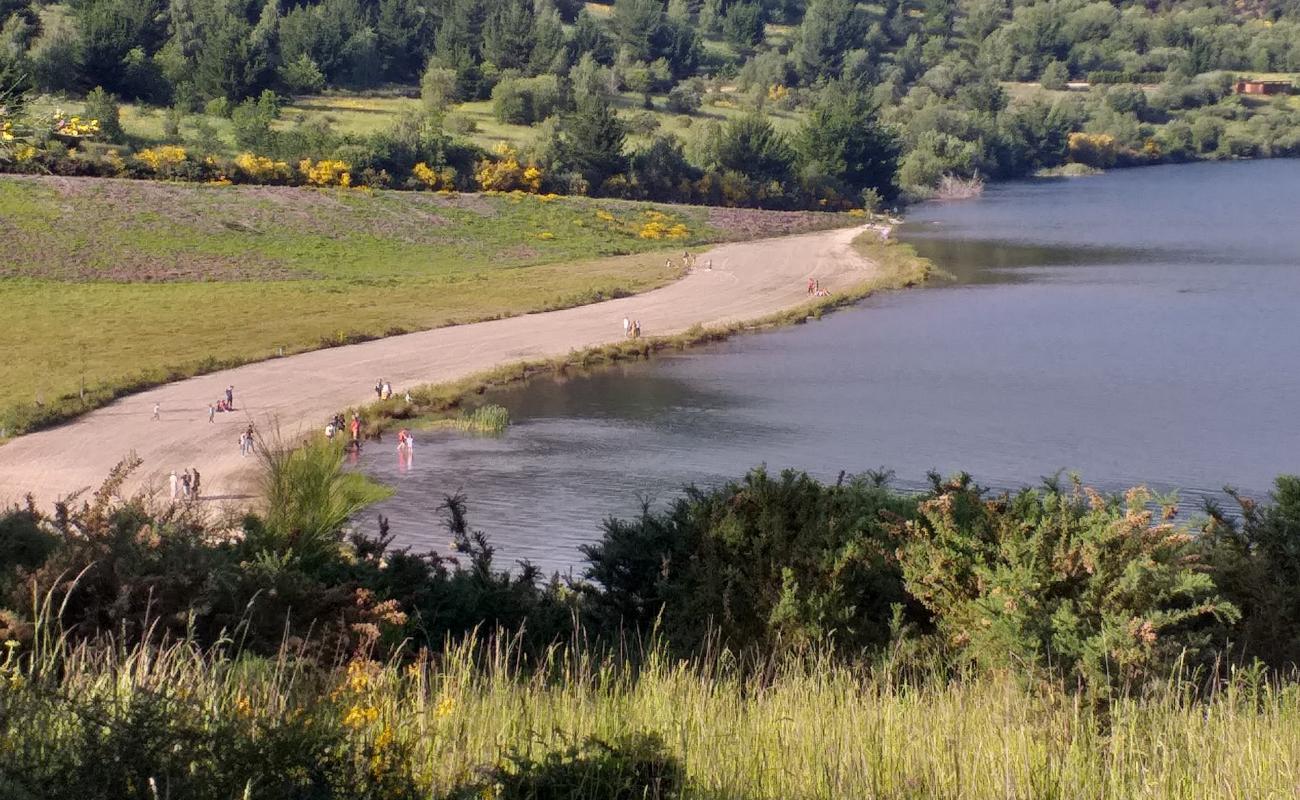 Photo de Praia das encrobas avec herbe de surface