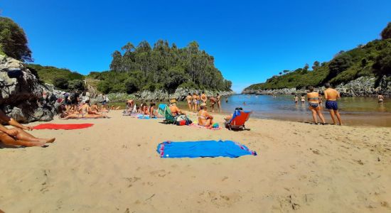 Playa de Guadamia