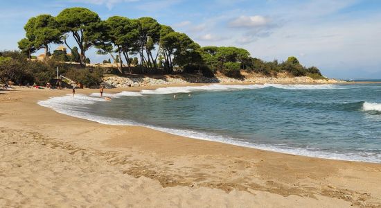 Plage de Portitxol