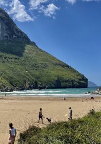 Sonabia
