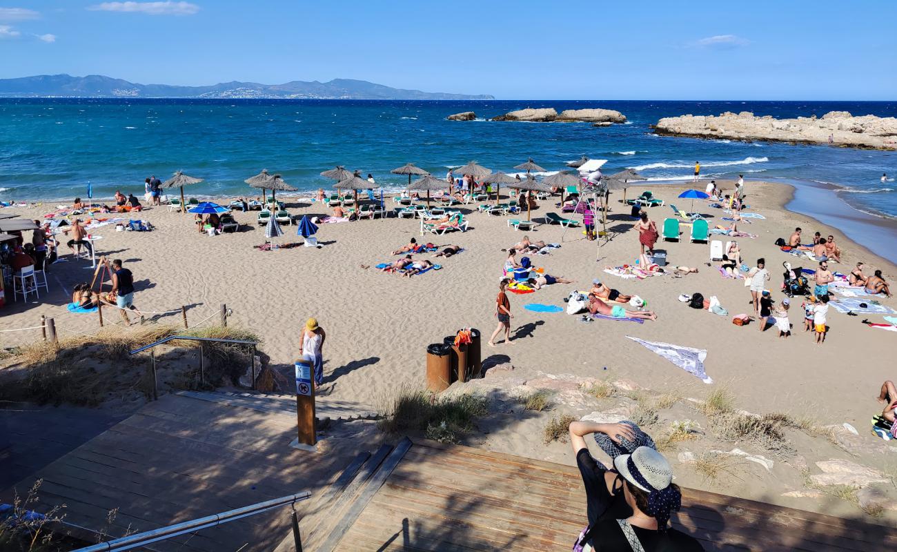 Photo de Les Muscleres Beach avec sable beige de surface